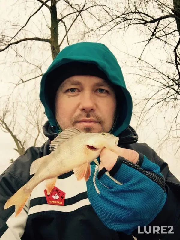 Perch — Kiїvska oblast, Feb 27, 2016