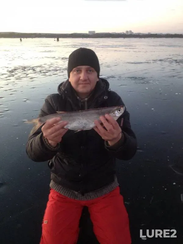 Bream — Dnepr, Feb 06, 2016