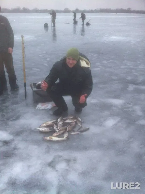 Zander — Dnepr, Jan 31, 2016