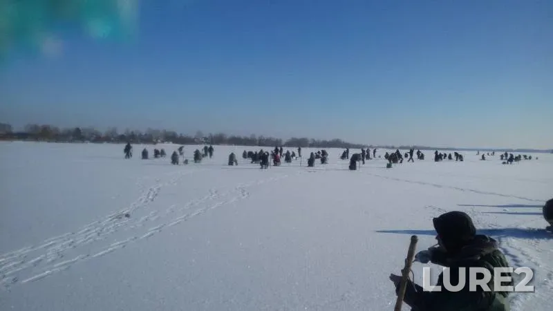 White bream — Dnepr, Jan 24, 2016
