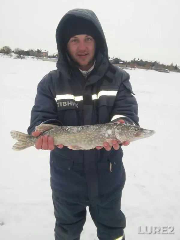 Pike — Kiїvska oblast, Jan 17, 2016