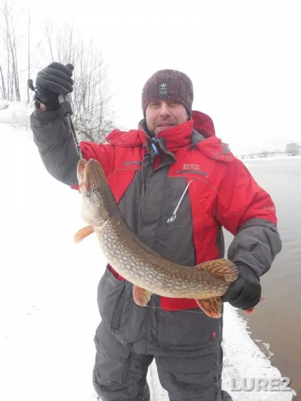Perch, Pike — Moskva, Feb 04, 2017