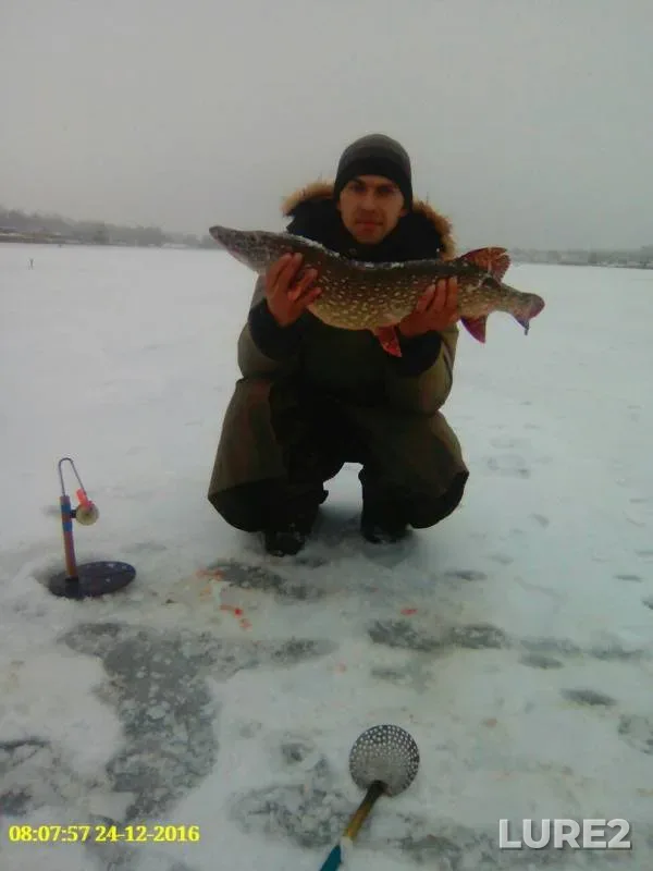Pike — Kіrovogradska oblast, Oleksandrіyskiy rayon, Dec 24, 2016