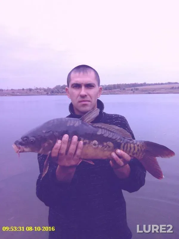 Carp — Ingulets, Oct 08, 2016