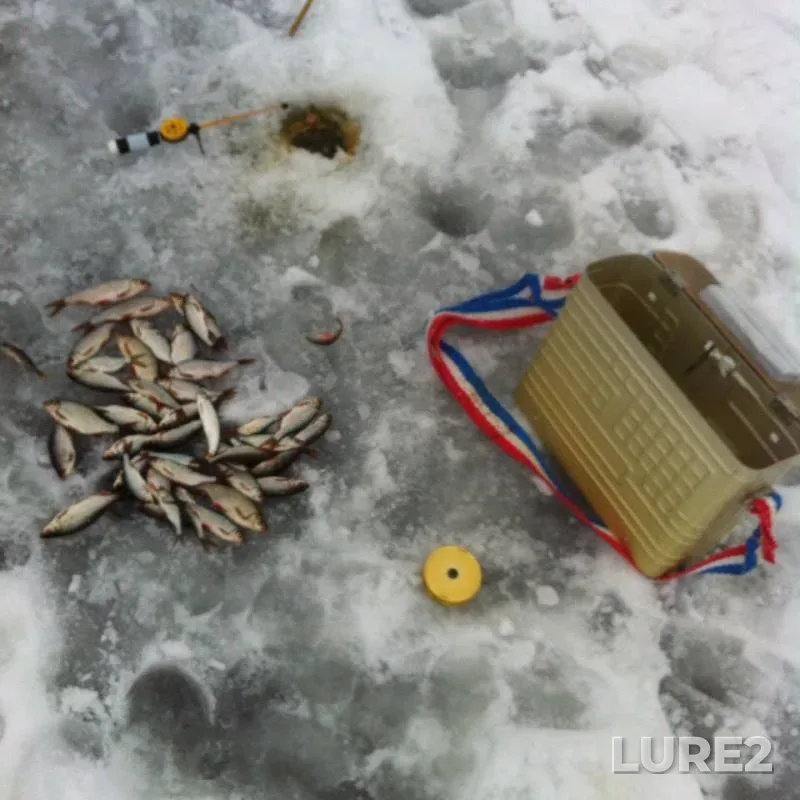 Roach, Rudd — Volga, Jan 08, 2017