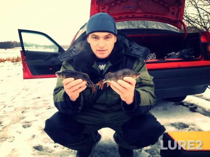 Perch — Protva, Dec 20, 2015
