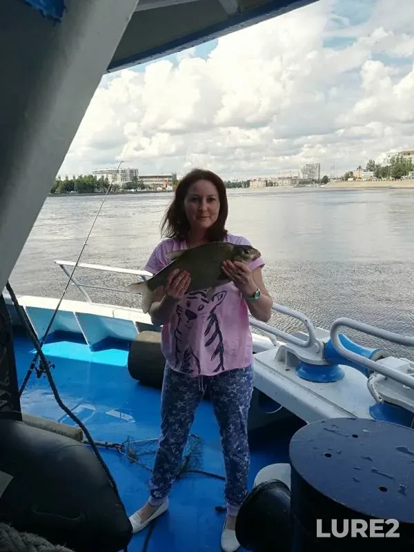 Bream — Neva, Jul 08, 2019