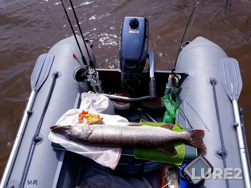 Pike — Kama, Jul 06, 2019