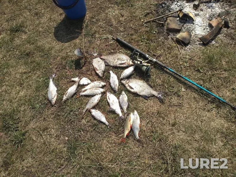 Bream, Rudd — Zay, May 06, 2019