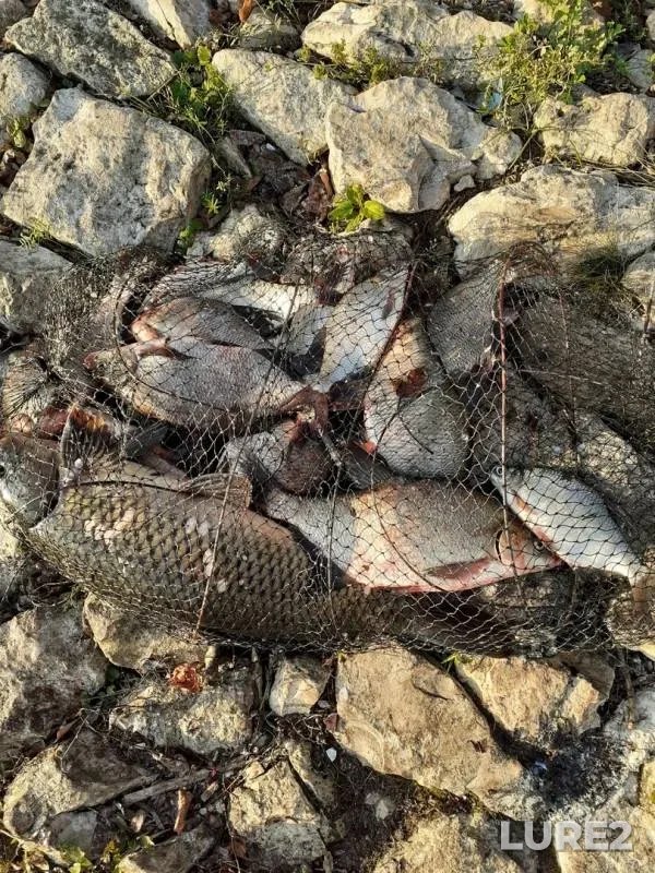 Bream — Respublika Tatarstan, Sep 01, 2019