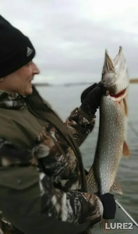 Pike — Kama, Oct 21, 2018