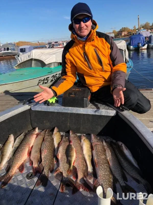 Perch, Pike — Kama, Oct 14, 2018