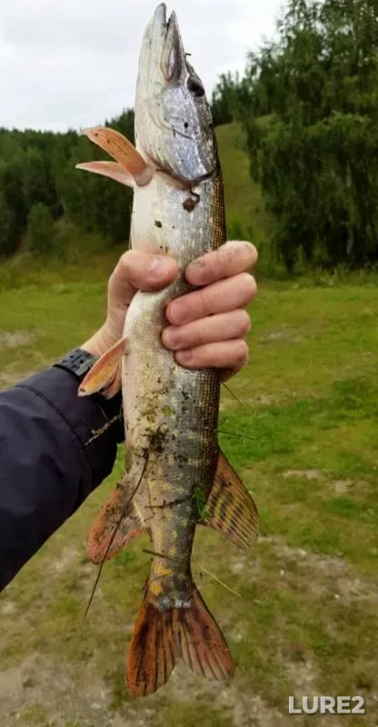 Pike — Iset, Aug 23, 2018