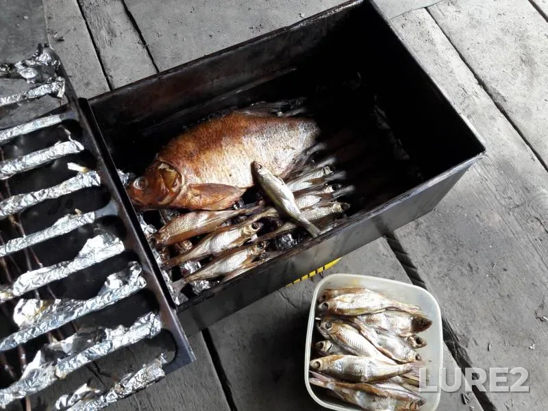 Bleak, Bream — Chusovaya, Jun 08, 2018