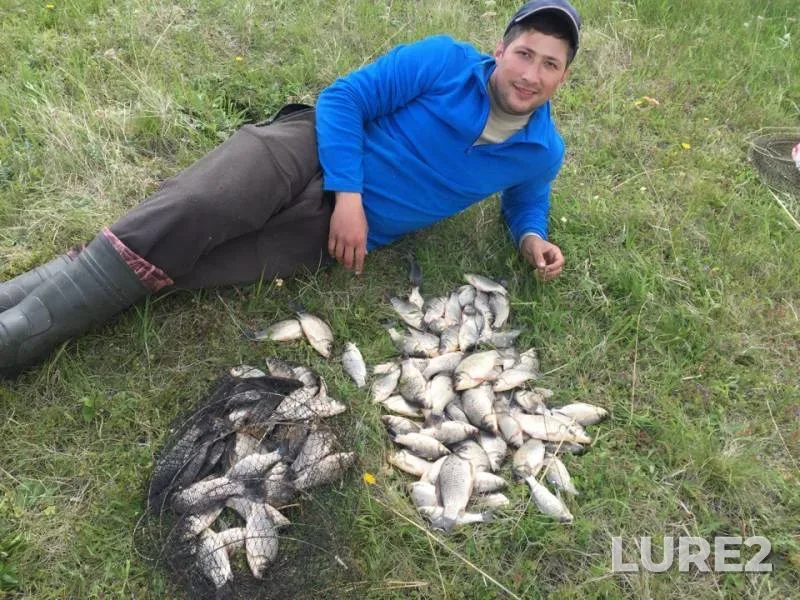 Crucian carp — Uyelgi, Jun 12, 2018