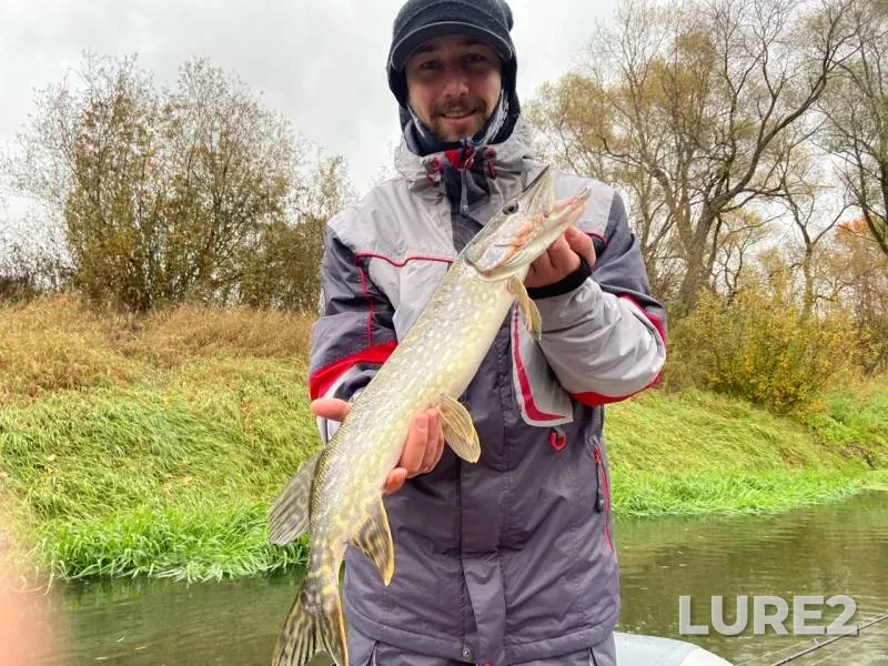 Pike — Desna, Oct 16, 2019