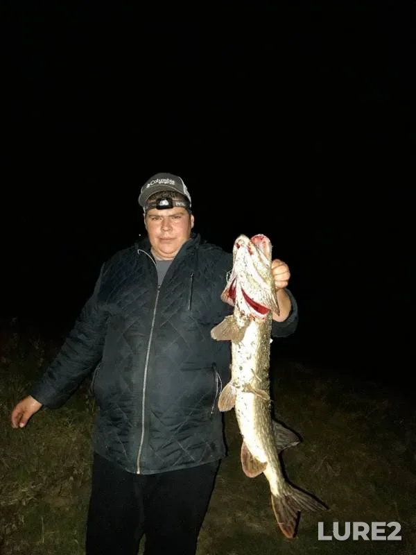 Pike — Desna, Oct 14, 2019