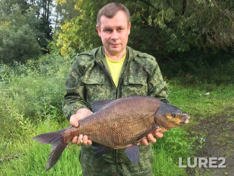 Bream — Desna, Oct 12, 2019