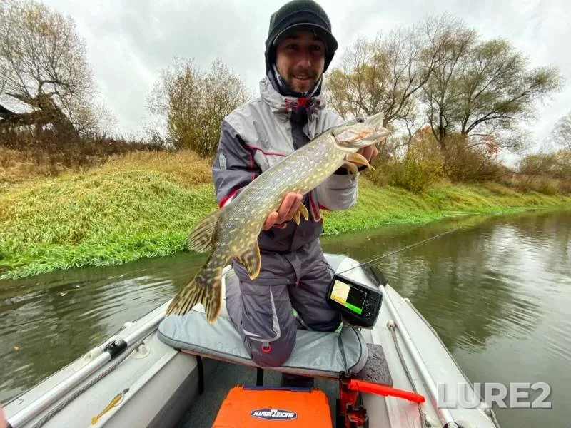 Pike, Zander — Desna, Oct 06, 2019