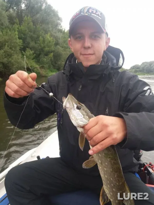 Perch, Pike — Desna, Aug 04, 2019