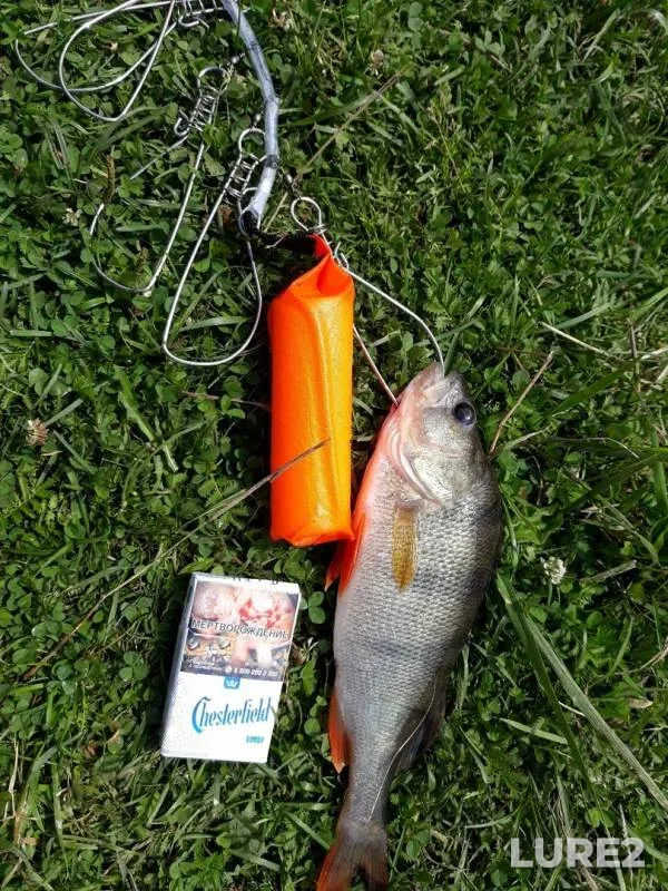 Perch — Melnitsa, Aug 04, 2019