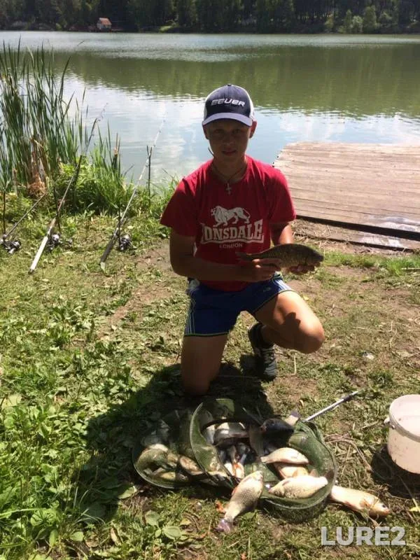 Crucian carp — Utyanka, Jul 28, 2019