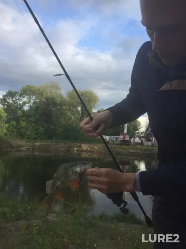 Perch — Desna, Jul 11, 2019