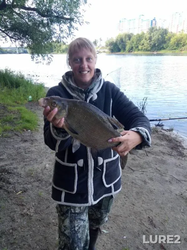 Bream — Desna, Jul 09, 2019