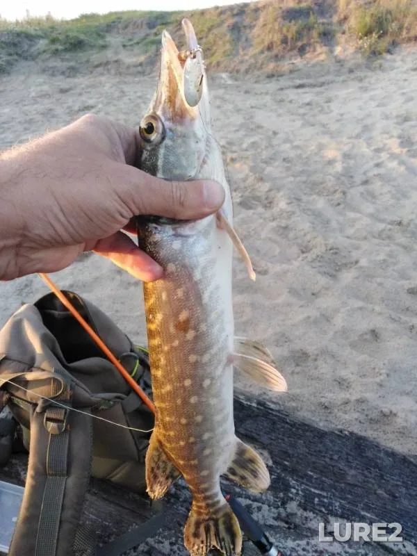 Pike — Snezhet, Jul 08, 2019