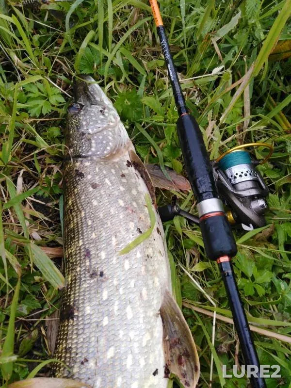 Pike — Snezhet, Jul 06, 2019
