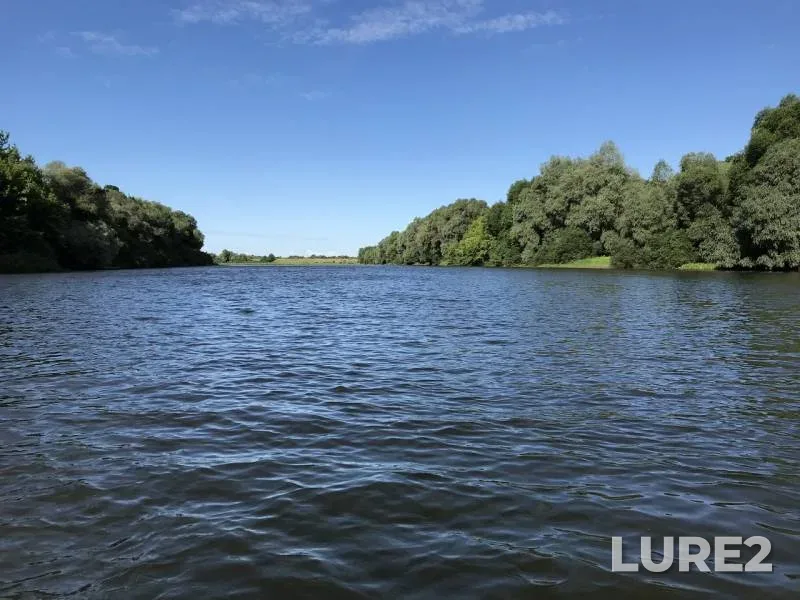Bream, Pike — Desna, Jun 29, 2019