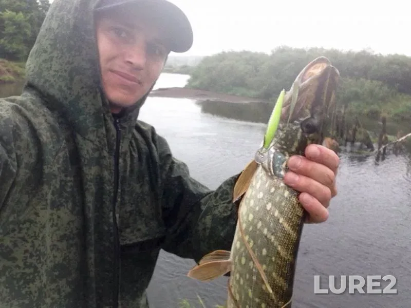 Perch, Pike — Desna, Jun 28, 2019