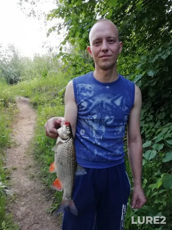 Chub — Bolva, May 28, 2019