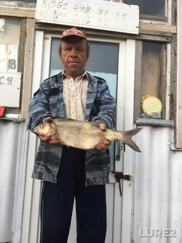 Bream, Carp — Stavropolskiy kray, Oct 19, 2019