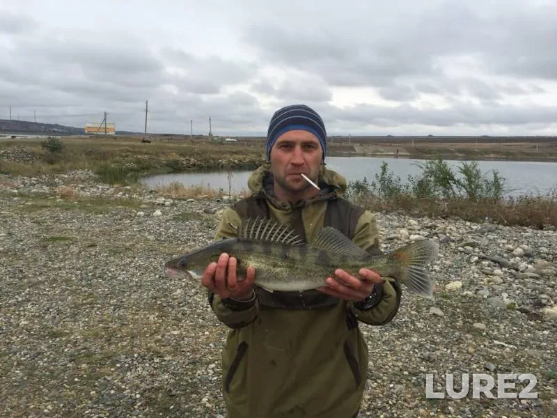 Zander — Yegorlyk, Oct 02, 2019