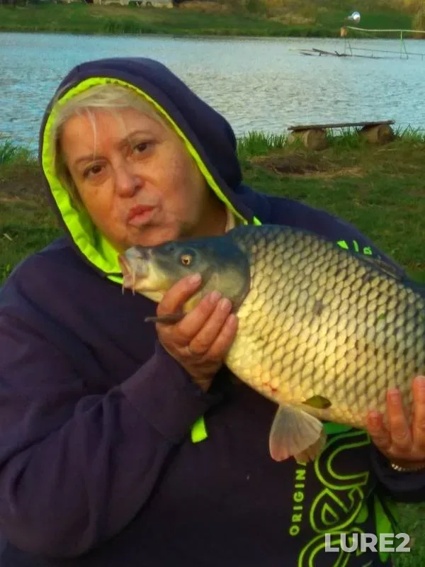Carp, Crucian carp — Lyovkin, Sep 28, 2019