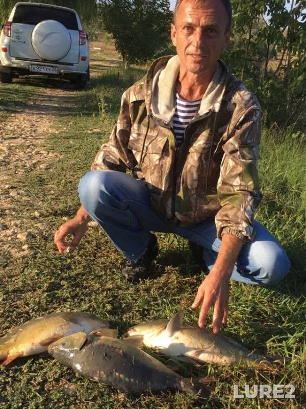 Carp — Stavropolskiy kray, Sep 13, 2019