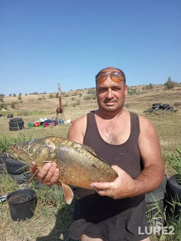 Carp — Zapyataya, Sep 04, 2019
