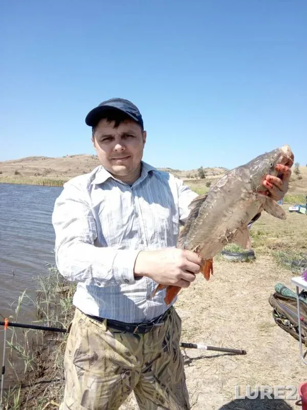 Carp — Zapyataya, Sep 01, 2019
