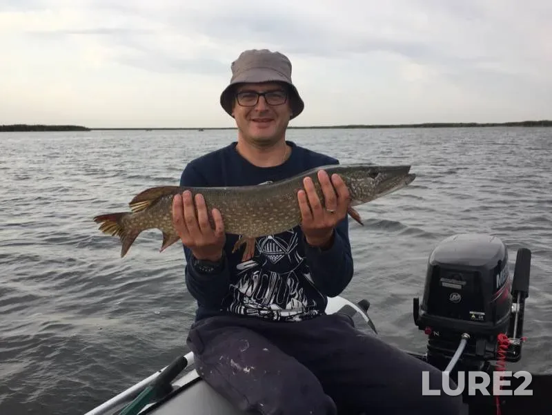 Perch, Pike — Volga, Aug 30, 2019