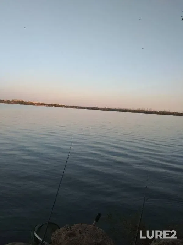 Crucian carp, Zander — Novotroitskoye, Aug 28, 2019