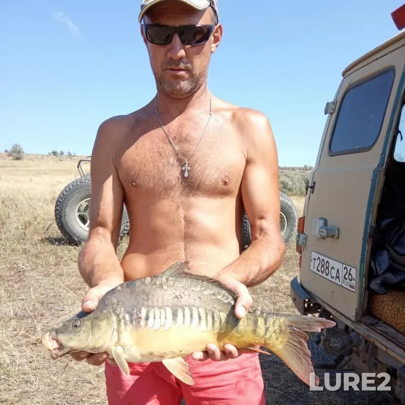 Carp — Zapyataya, Aug 26, 2019