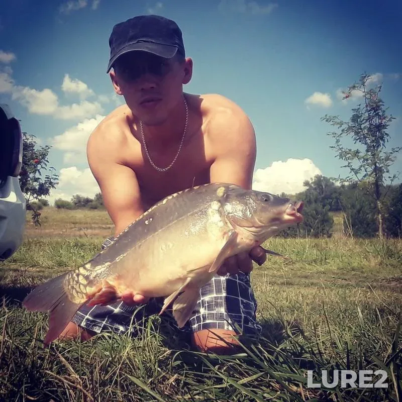 Carp, Crucian carp — Mereshor, Aug 26, 2019
