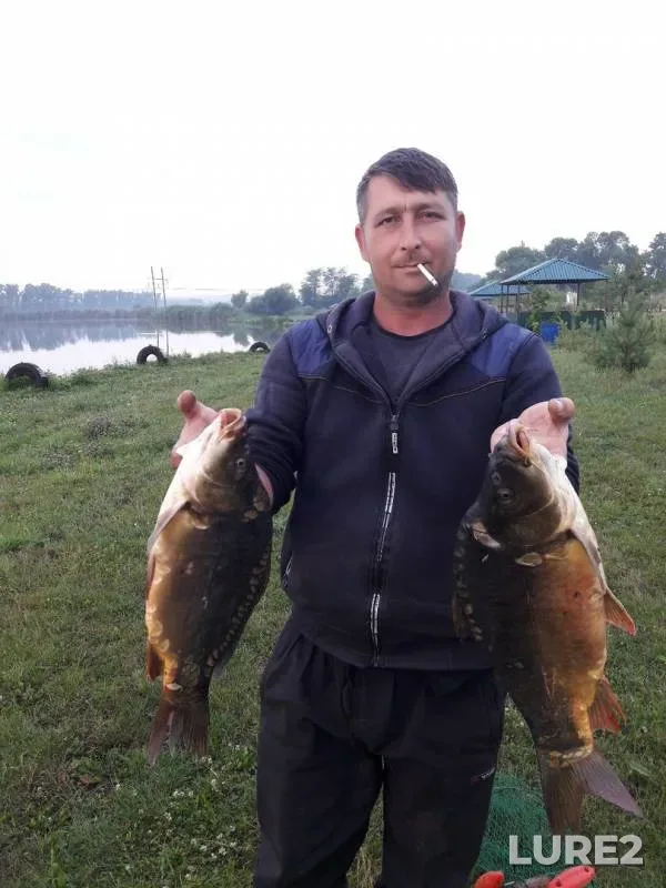 Carp — Chernikov, Jul 19, 2019
