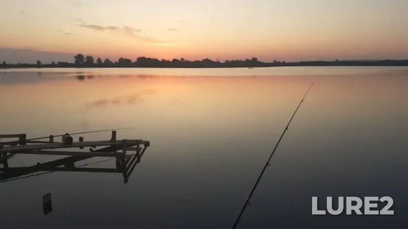 Bream, Crucian carp — Zolka, Jul 15, 2019