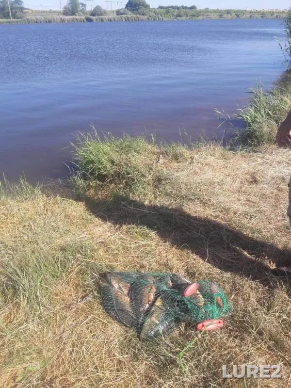 Carp — Chernikov, Jun 10, 2019