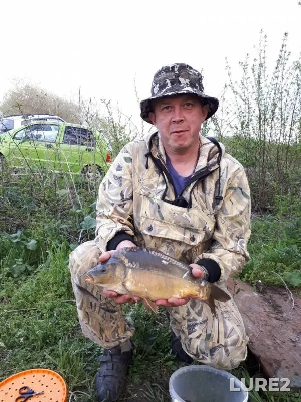 Carp — Lyovkin, May 07, 2019