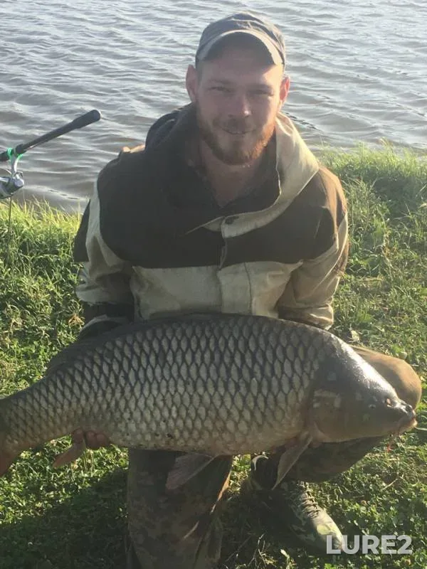 Carp — Stavropolskiy kray, Aug 29, 2018