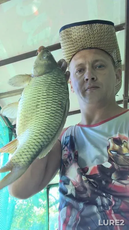 Carp — Stavropolskiy kray, Sep 10, 2017