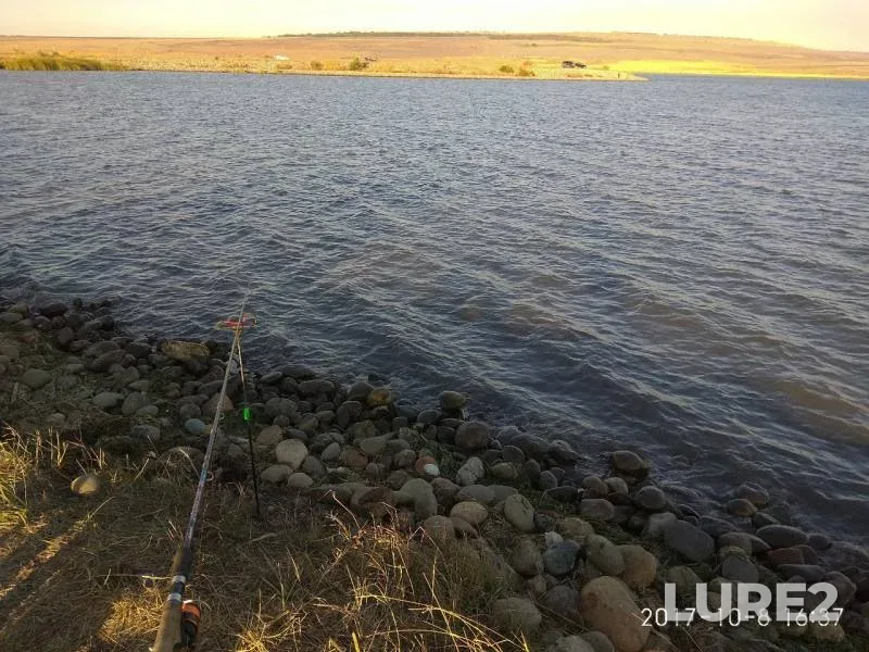 Roach, Tench — Bufernoye, Oct 09, 2017